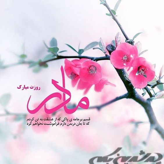 عکس پروفایل تبریک روز مادر ، پروفایل روز زن جدید / 50 عکس