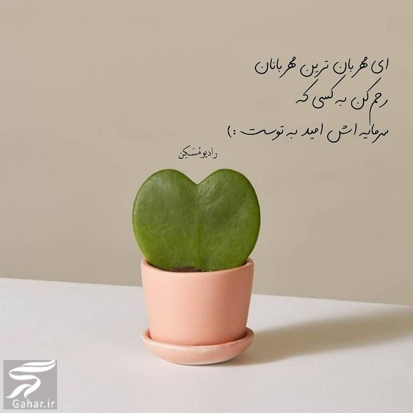 متن زیبا برای زیر عکس خودم  (کپشن خاص برای پست اینستاگرام)