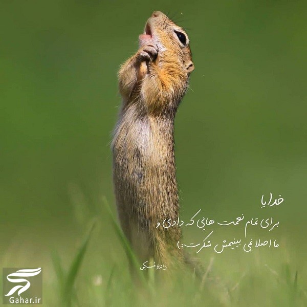 متن زیبا برای زیر عکس خودم  (کپشن خاص برای پست اینستاگرام)