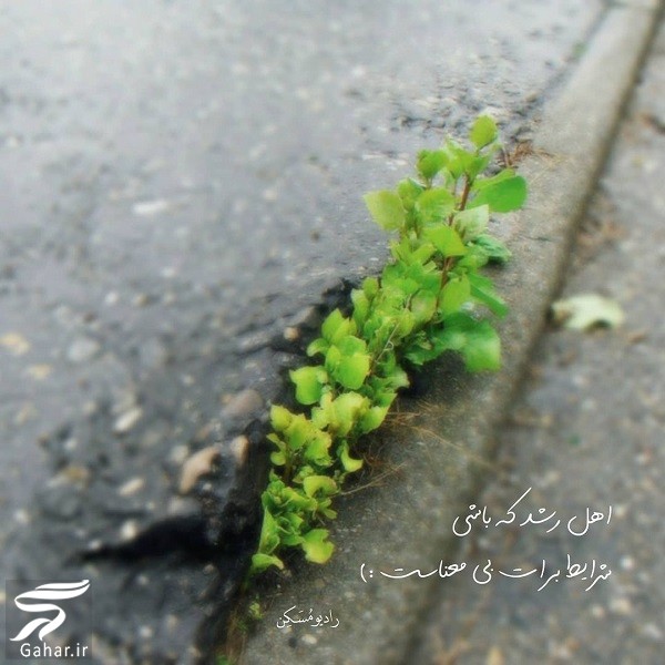 متن زیبا برای زیر عکس خودم  (کپشن خاص برای پست اینستاگرام)