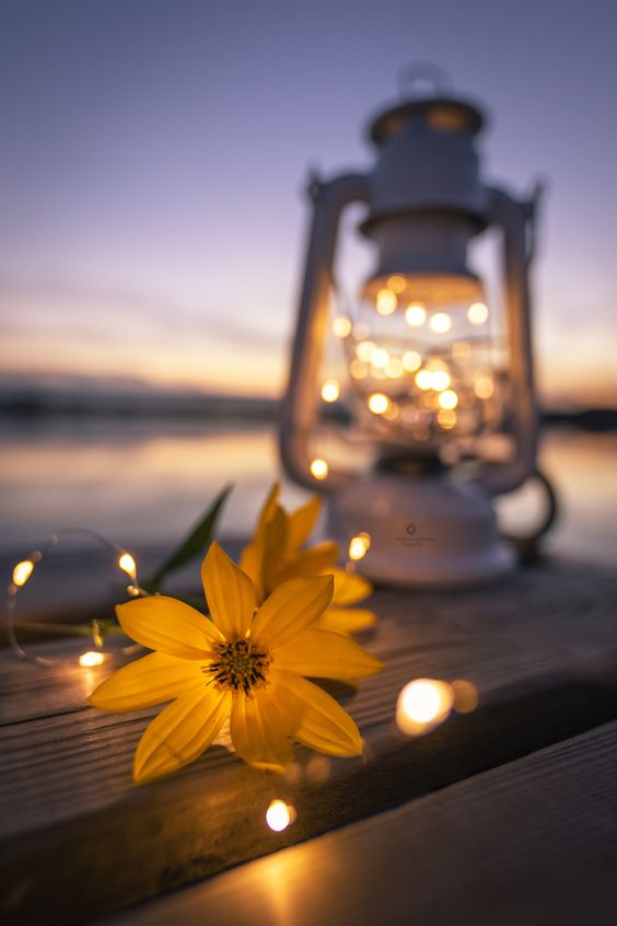 متن پنجشنبه های دلتنگی  (متن و عکس نوشته)