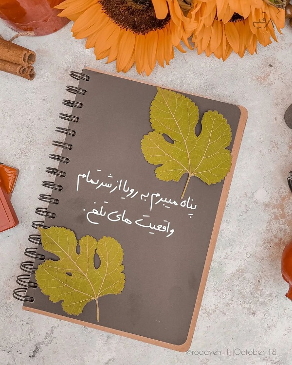 متن زیبا برای زیر عکس خودم  (کپشن خاص برای پست اینستاگرام)