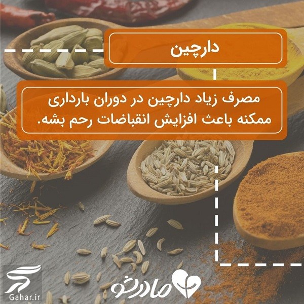 این ادویه ها نباید در دوران بارداری مصرف شوند