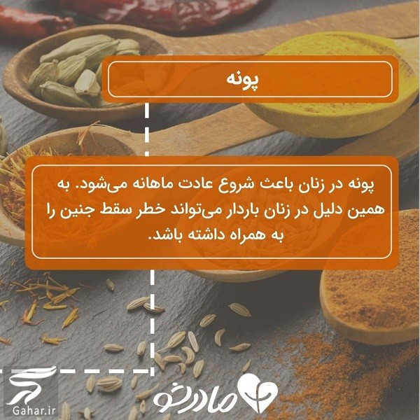 این ادویه ها نباید در دوران بارداری مصرف شوند