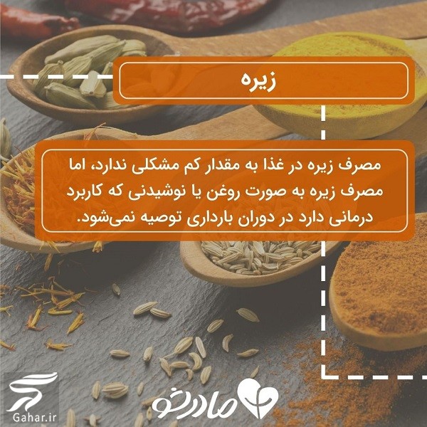 این ادویه ها نباید در دوران بارداری مصرف شوند