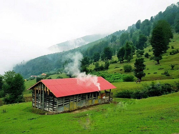 ویلا رزرو کنیم یا کلبه جنگلی و چوبی