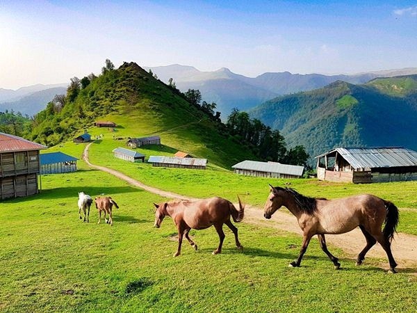ویلا رزرو کنیم یا کلبه جنگلی و چوبی