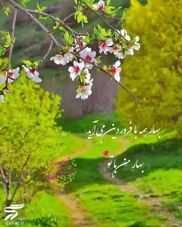 تبریک تولد همسر فروردین ماهی / استوری تولد فروردین ماهی