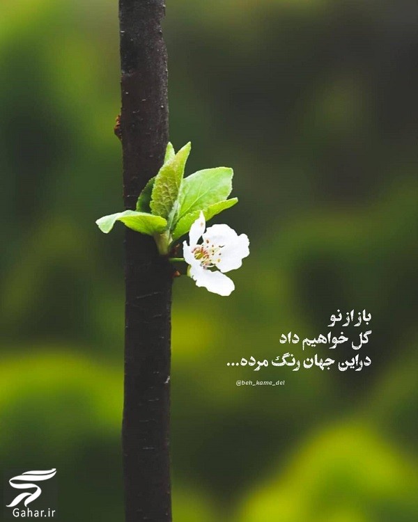 متن انگیزشی کوتاه دخترانه