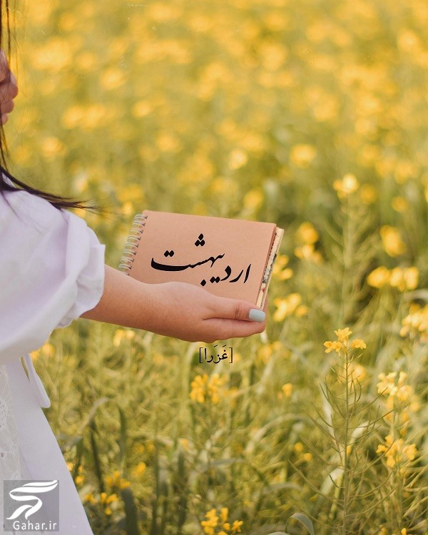 پیام تبریک تولد اردیبهشتی ها / استوری تولد اردیبهشت ماهی