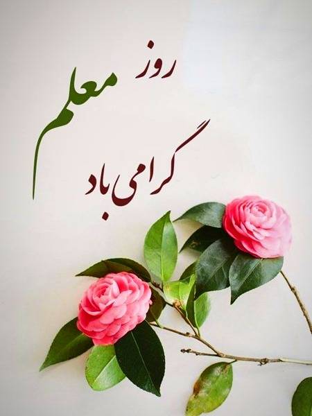 متن تقدیرنامه روز معلم ( 15 متن برای لوح تقدیر روز معلم)