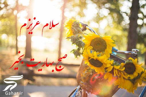صبح بخیر بهاری جدید ; عکس و متن