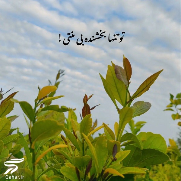 متن انگیزشی کوتاه دخترانه