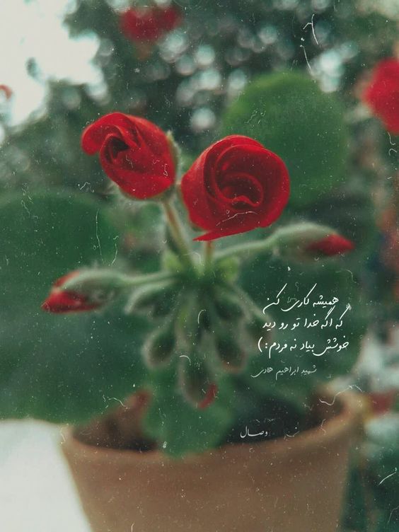 عکس نوشته صبح بخیر انگیزشی