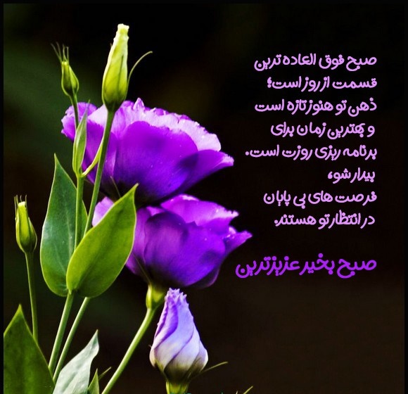 عکس نوشته صبح بخیر انگیزشی