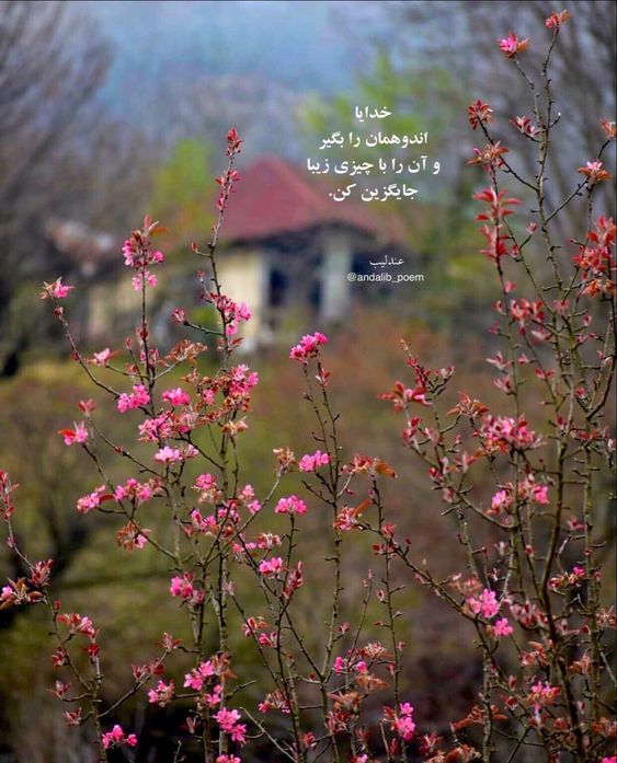 عکس نوشته صبح بخیر انگیزشی
