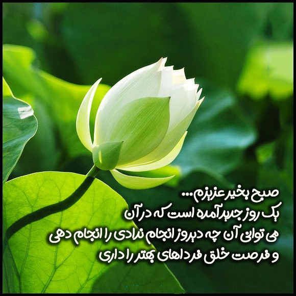 عکس نوشته صبح بخیر انگیزشی