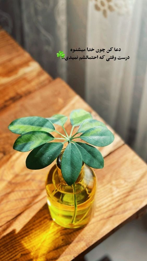 عکس نوشته صبح بخیر انگیزشی