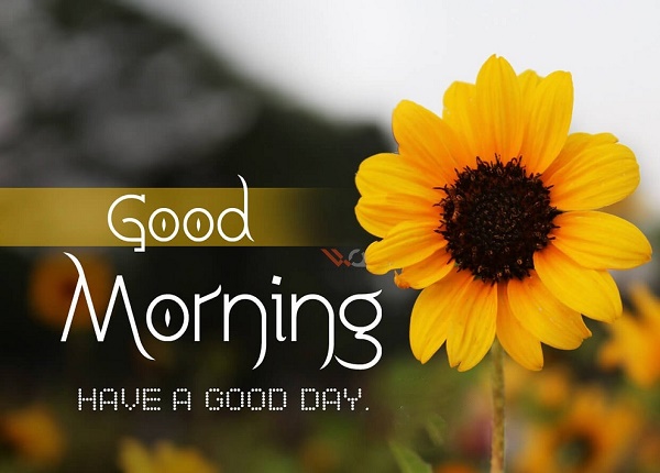 عکس نوشته صبح بخیر انگیزشی