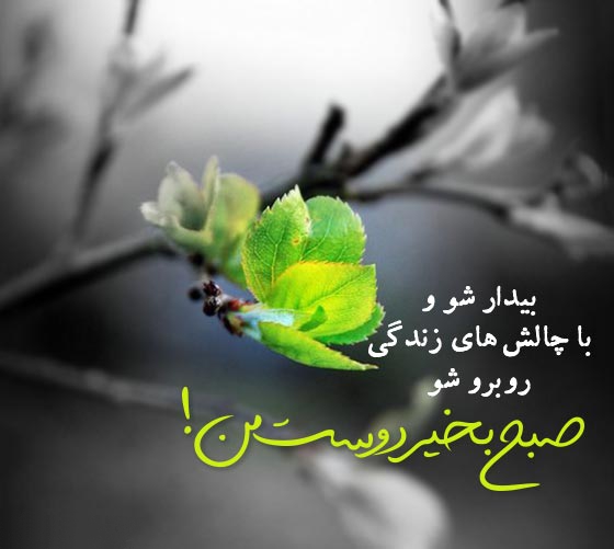 عکس نوشته صبح بخیر انگیزشی