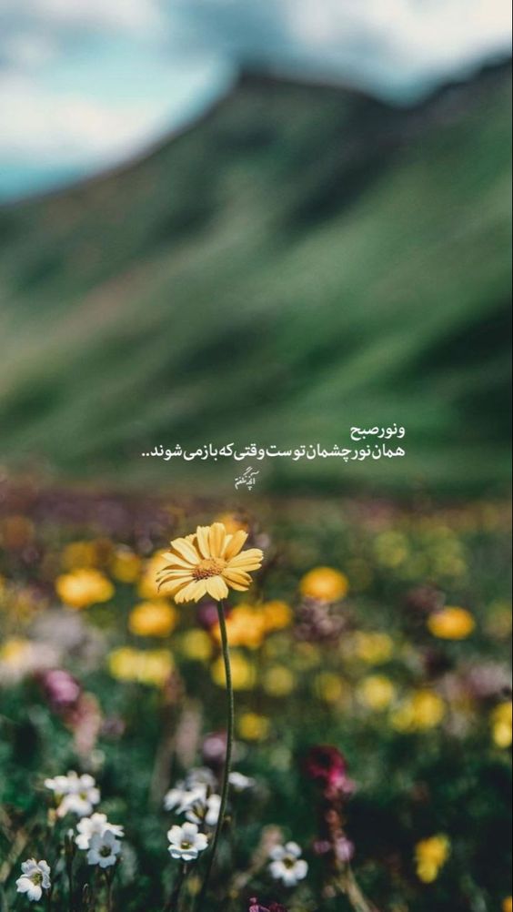 عکس نوشته صبح بخیر انگیزشی