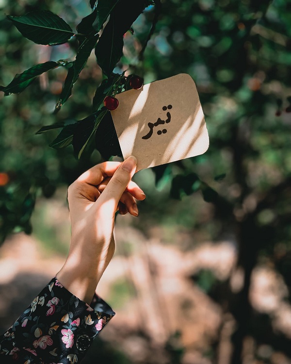 کلیپ تولد تیر ماهی | استوری تبریک تولد تیر ماهی