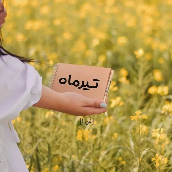 کلیپ تولد تیر ماهی | استوری تبریک تولد تیر ماهی