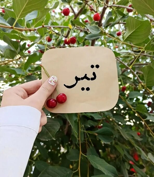 کلیپ تولد تیر ماهی | استوری تبریک تولد تیر ماهی
