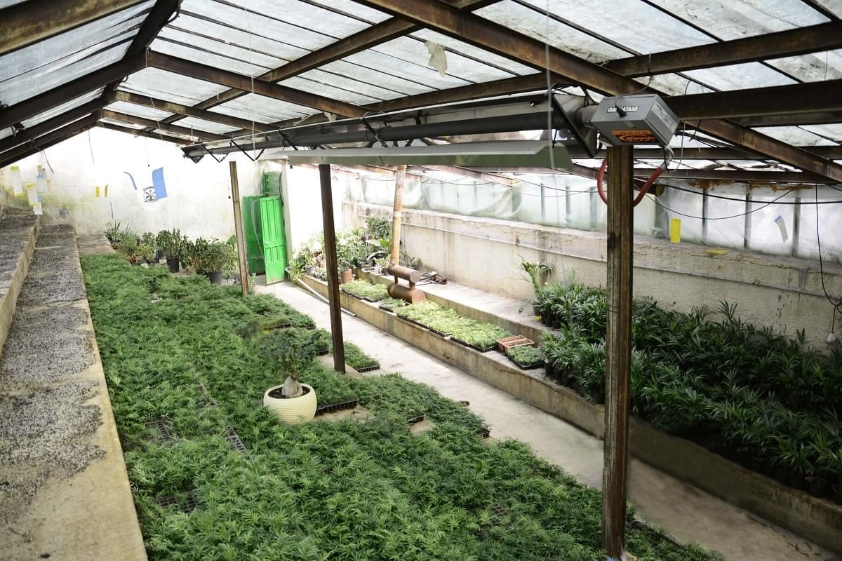 مزایای گرماتاب در گلخانه