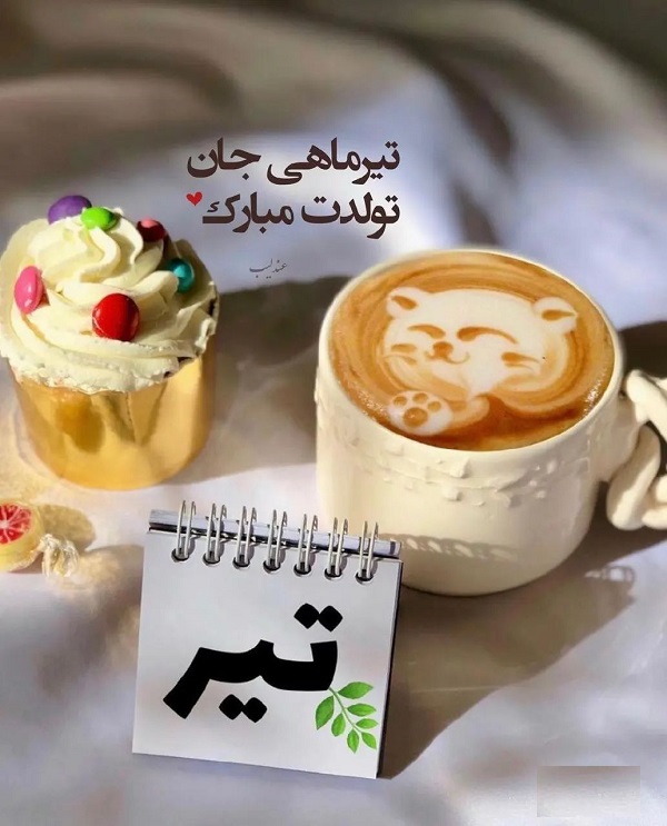 کلیپ تولد تیر ماهی | استوری تبریک تولد تیر ماهی