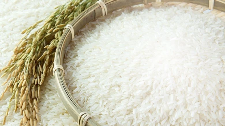 مقایسه برنج طارم محلی فریدون کنار و طارم هاشمی گیلان