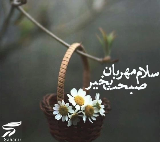 صبح بخیر عاشقانه جدید مفهومی