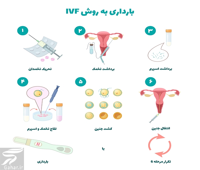 آیا دختران باکره میتوانند تخمک اهدا کنند؟