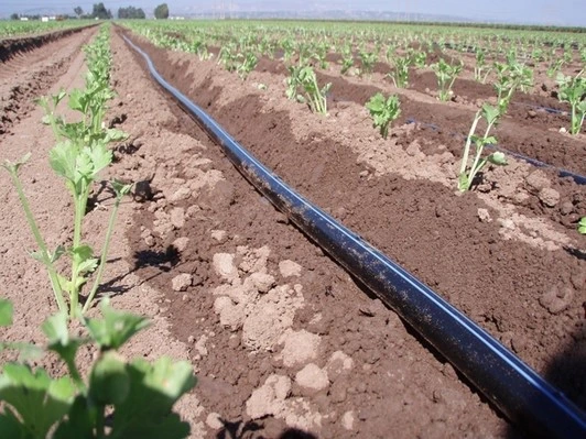 راهنمایی خرید نوار تیپ کشاورزی