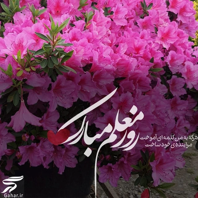متن زیبا برای معلم کوتاه (ویژه روز معلم)