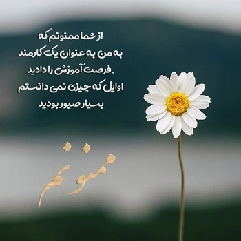 متن تشکر از زحمات همکاران، استاد، دوستان + عکس نوشته
