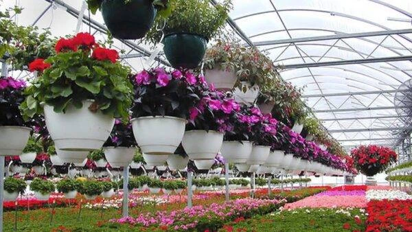 نمایشگاه گل و گیاه تهران کجاست؟ عکس و آدرس