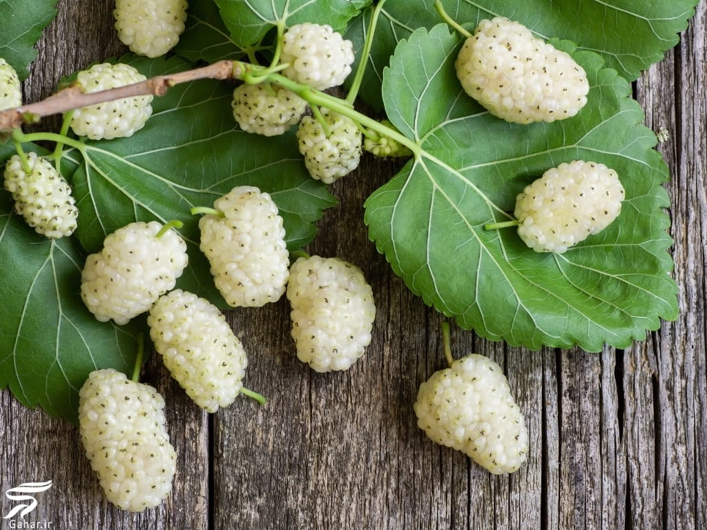 نحوه درست كردن شيره توت (روش خانگی و طبیعی)