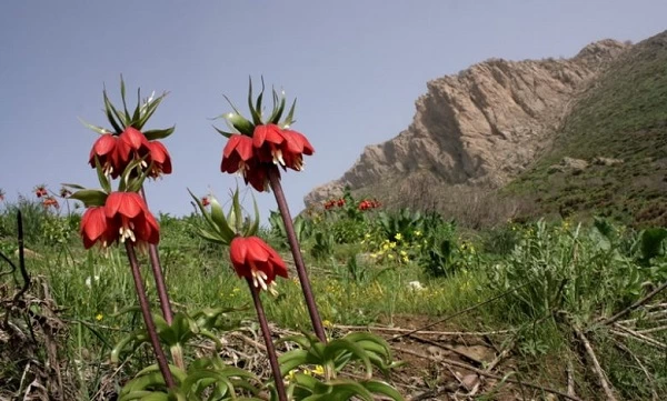 مهاباد، گوهر پنهان کردستان: مکان هایی که باید دید