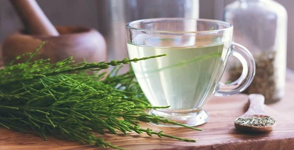 دارو گیاهی برای عفونت ادراری + درمان عفونت ادراری در خانه