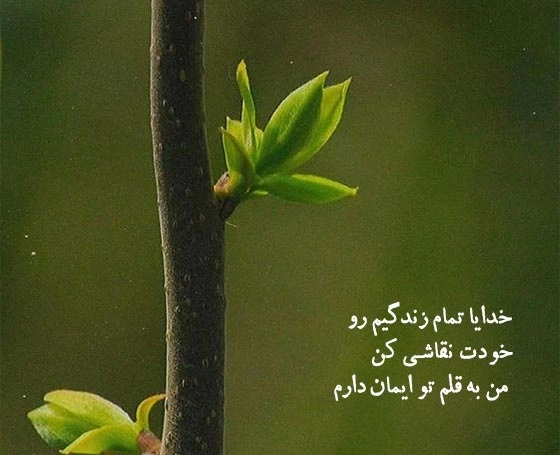 جملات آرامش دهنده درباره خدا و جملات ناب آرام بخش درباره خدا