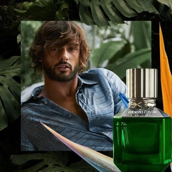 عطرهای شگفت انگیز روبرتو کاوالی را امتحان کردهاید؟