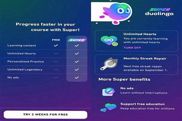 مدت اعتبار اشتراک دولینگو پلاس
