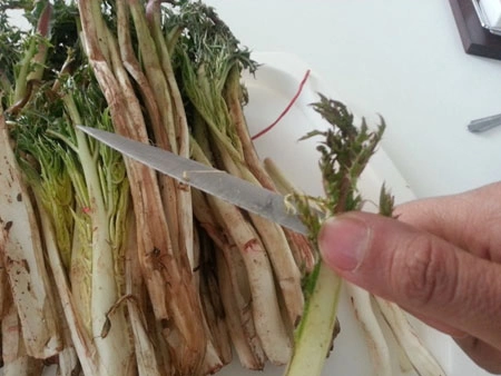 روش پاک کردن کنگر (ساده ترین روش + ارزش غذایی کنگر)