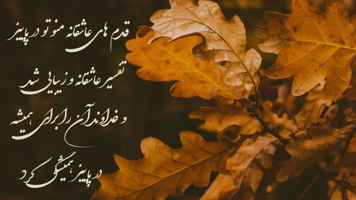 جملات پاییزی کوتاه؛ متن های زیبای پاییزی با عکس نوشته