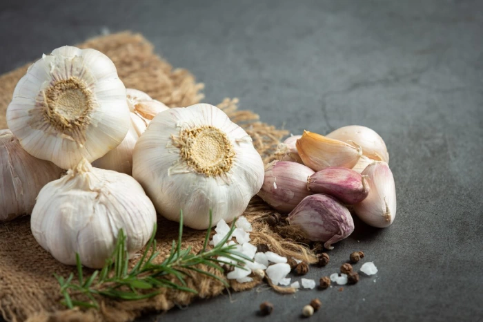 طریقه کاشت سیر در منزل؛ کاشت سیر در گلدان، باغچه و مزرعه