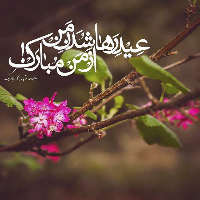 عکس تبریک عید قربان عاشقانه