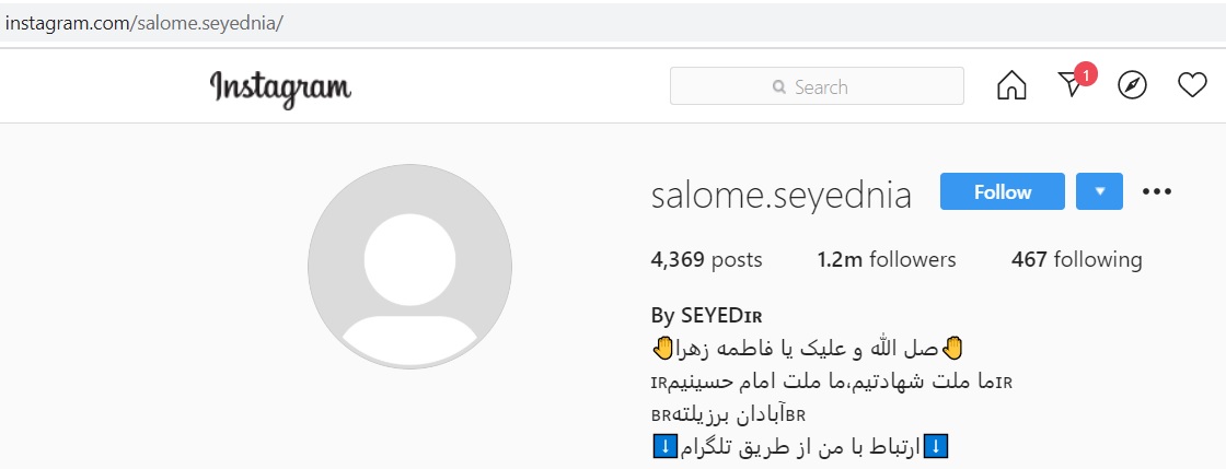 هک اینستاگرام سالومه و لو رفتن چت های بازیگران با سالومه