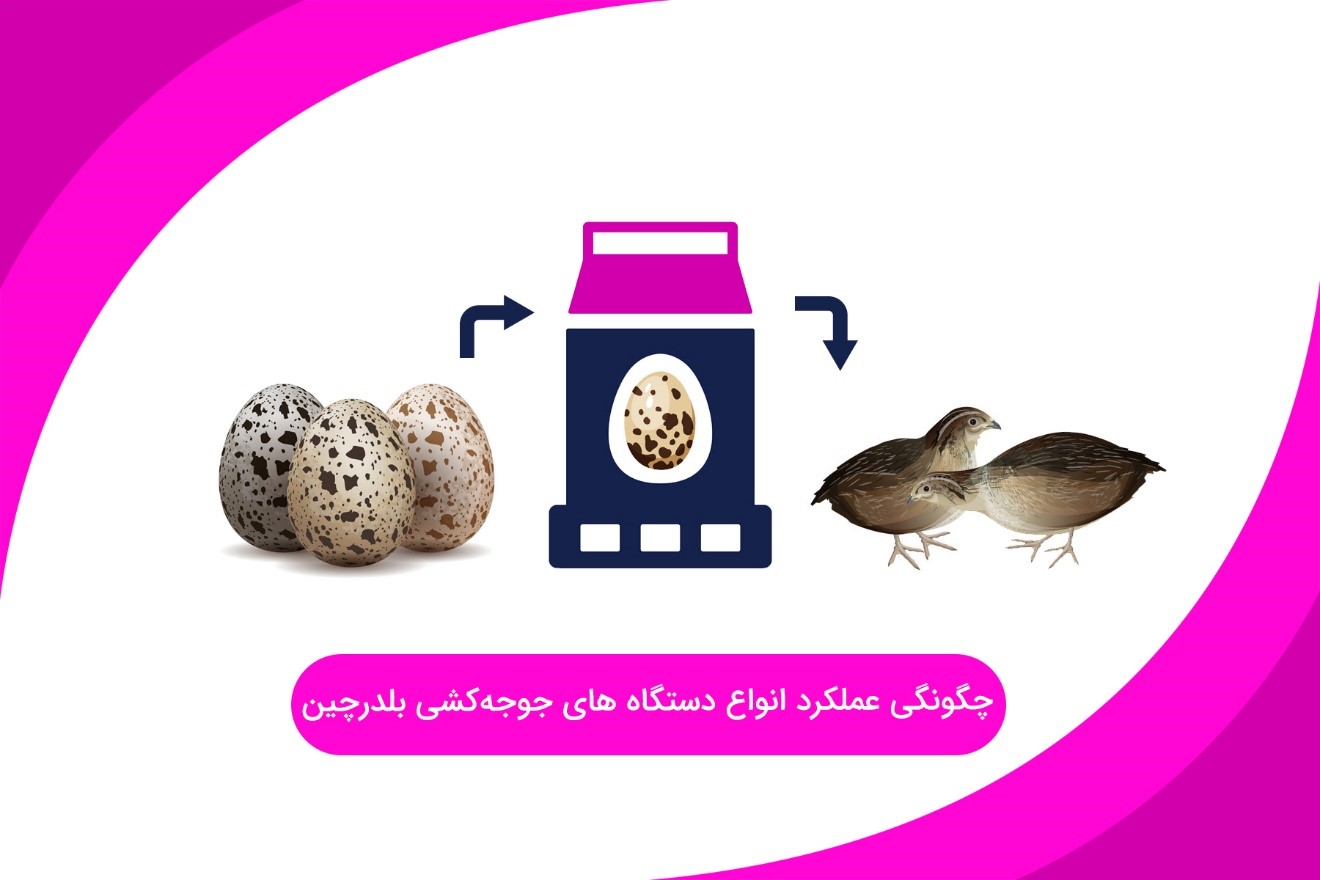 خرید دستگاه جوجه کشی خانگی بلدرچین