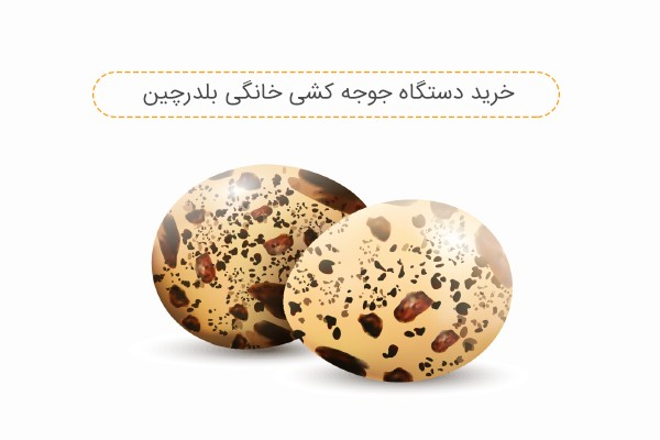خرید دستگاه جوجه کشی خانگی بلدرچین